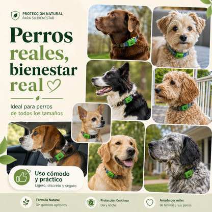 Ayuda a proteger a tu perro de pulgas, garrapatas y flebótomos | 12 meses de protección natural