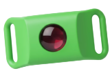 pet ürünü
